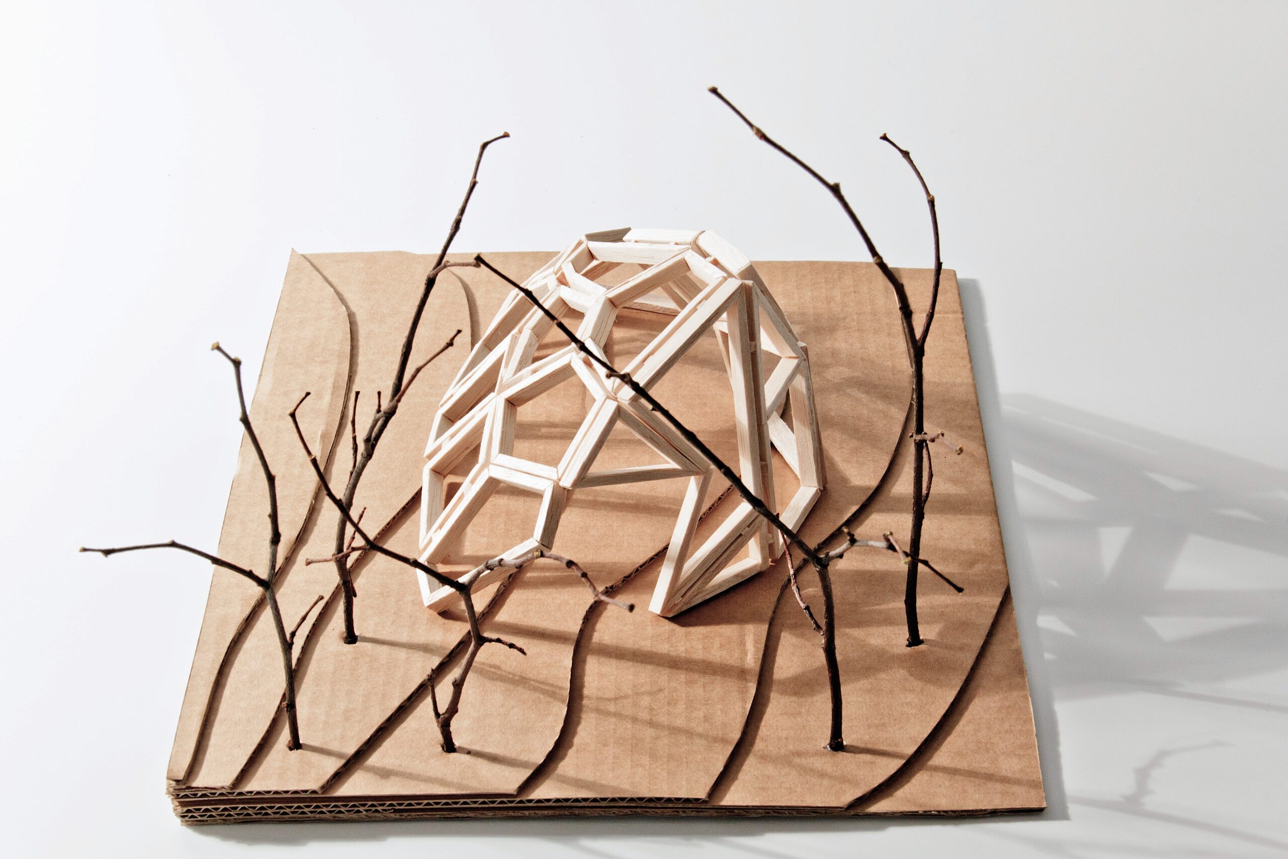 Adéla Šmeidlerová