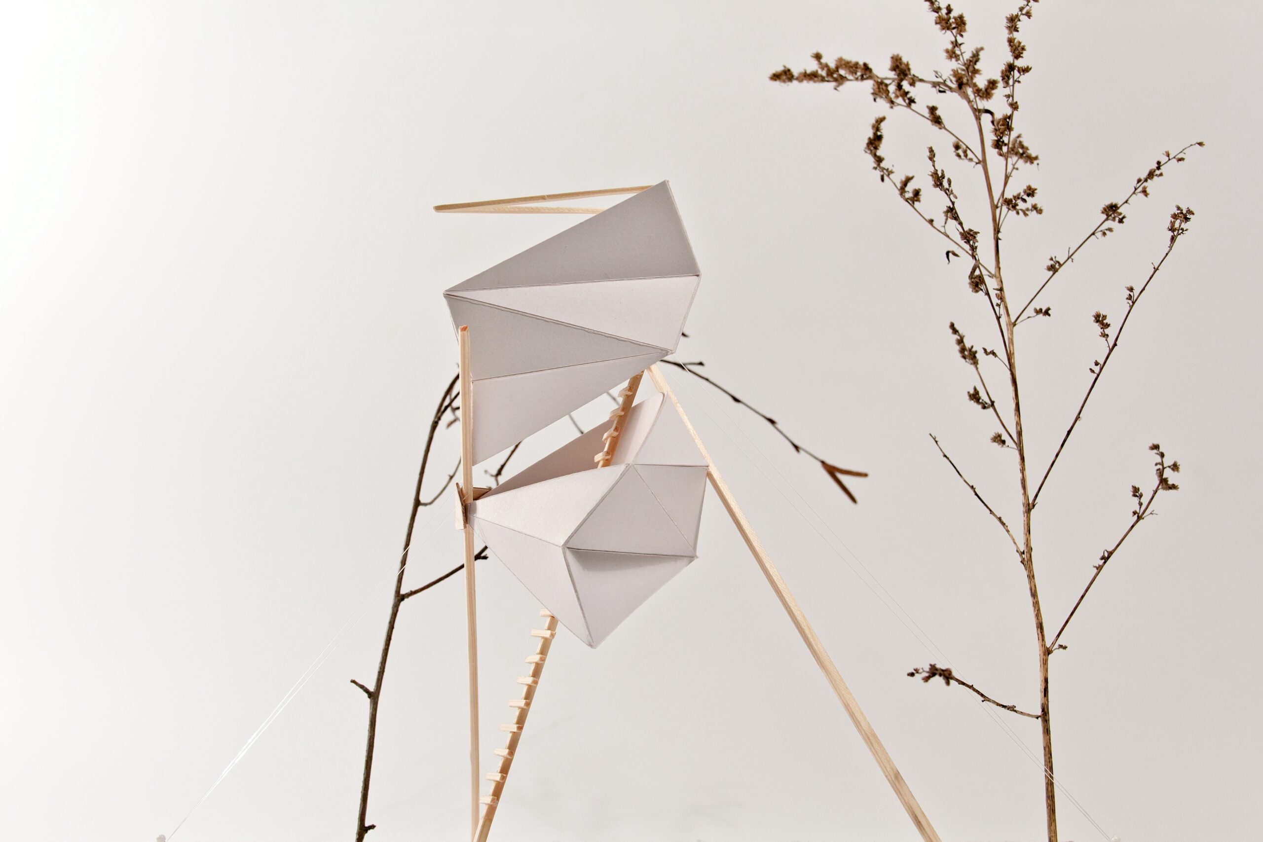 Kateřina Marečková