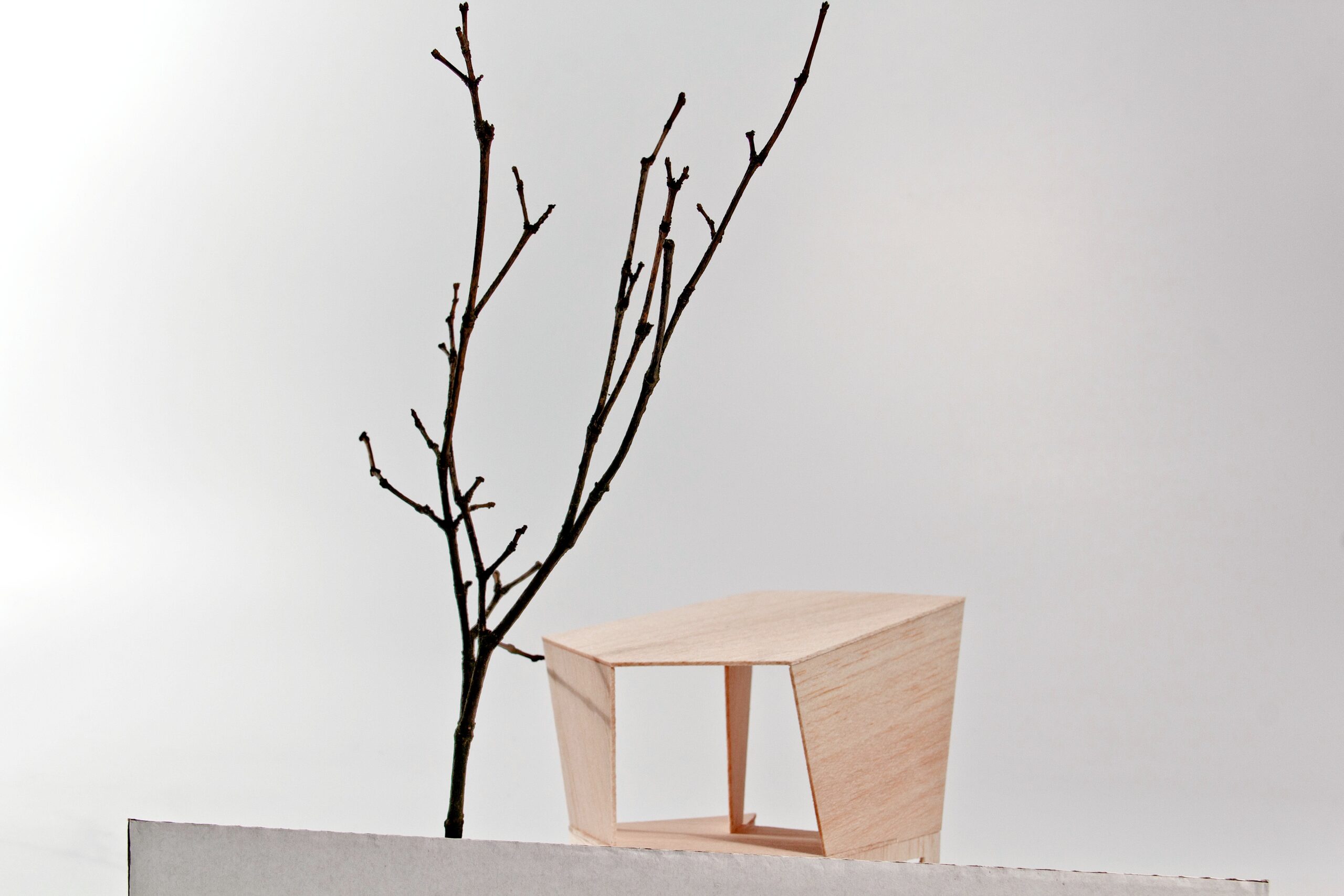 Kateřina Vítková